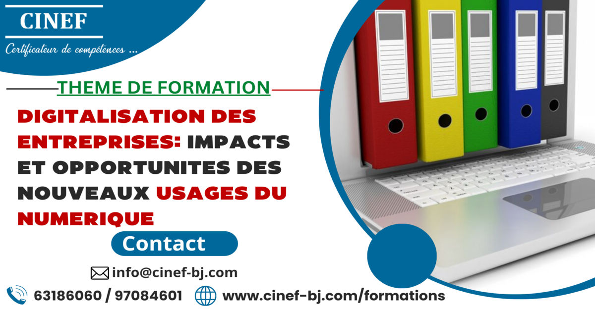 DIGITALISATION DES ENTREPRISES: IMPACTS ET OPPORTUNITES DES NOUVEAUX USAGES DU NUMERIQUE