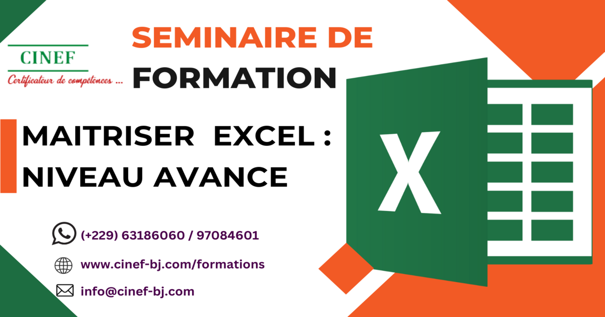 MAITRISER EXCEL: NIVEAU AVANCE